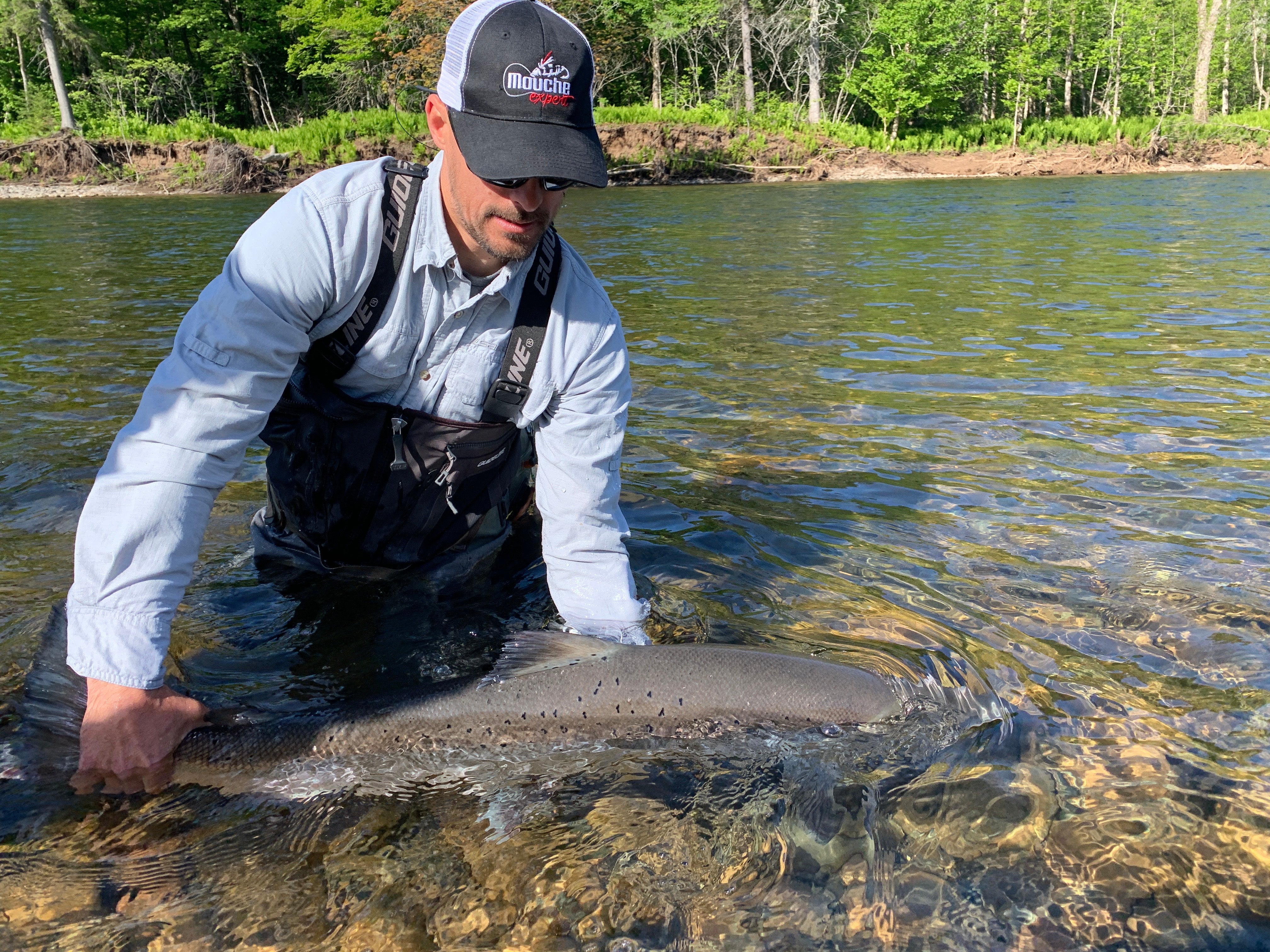 La pêche au saumon en début de saison
