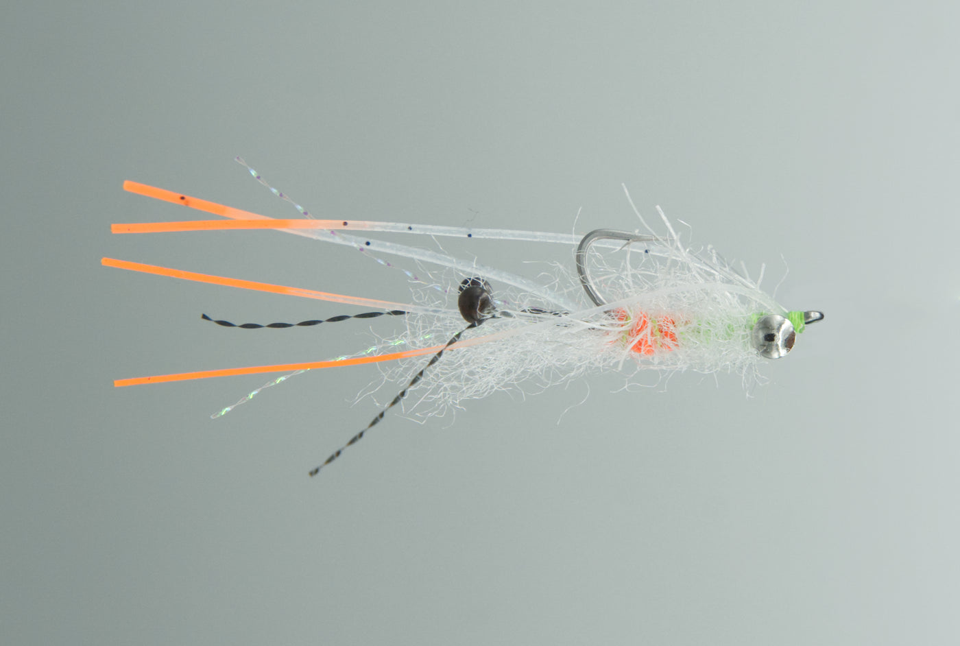 Ascension Bay Mantis Ghost Shrimp