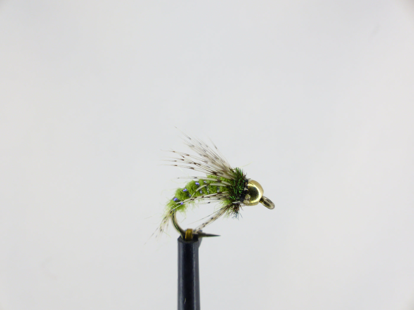 Anderson's Bird of Prey Olive