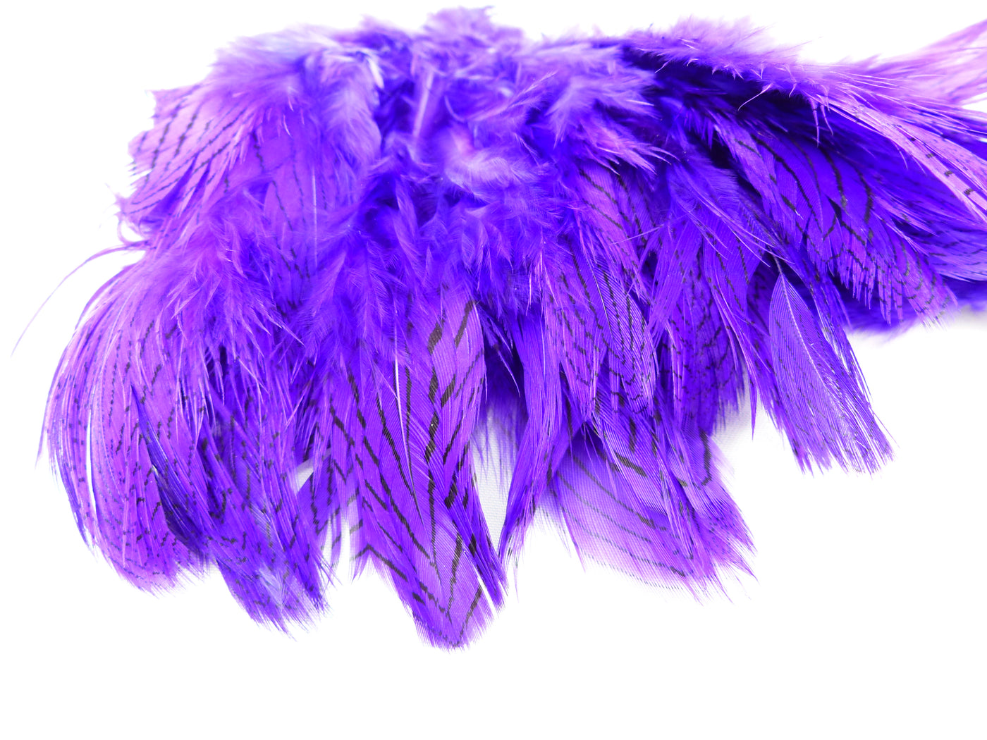 PLUMES DE FAISANT ARGENTÉ