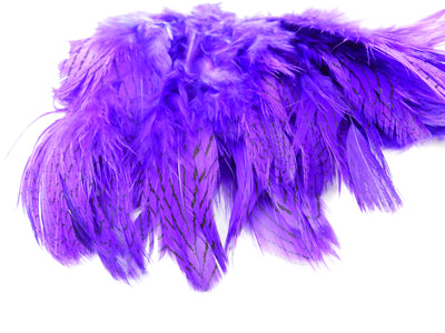 PLUMES DE FAISANT ARGENTÉ