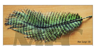 PLUME D'AUTRUCHE BARRED MFC