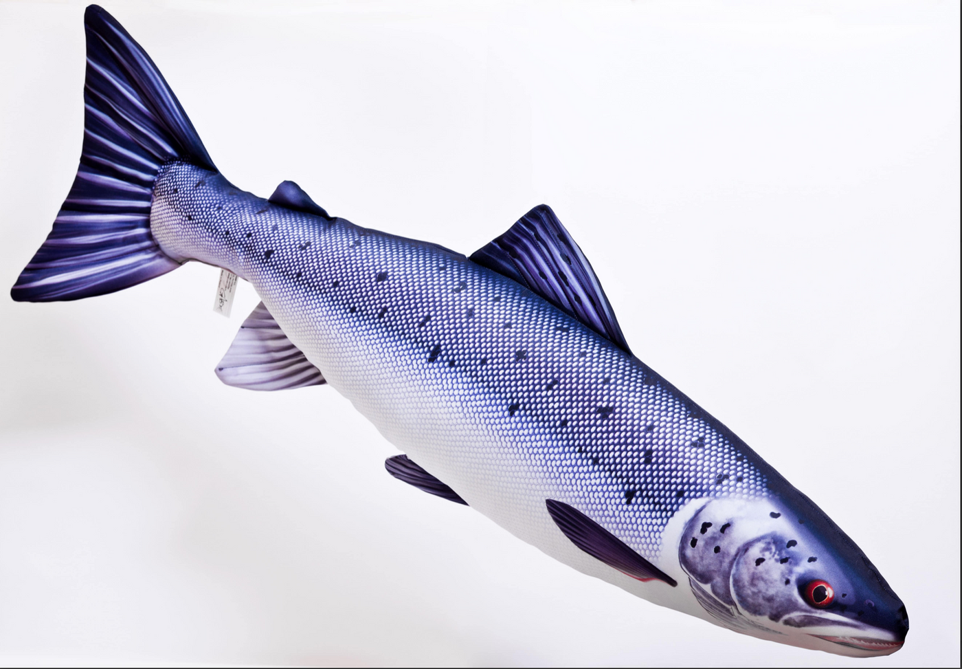 COUSSIN GABY SAUMON ATLANTIQUE 32''