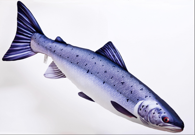 COUSSIN GABY SAUMON ATLANTIQUE 32''