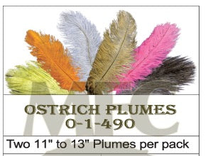 PLUMES D'AUTRUCHE PQT DE 2  11''ET13''