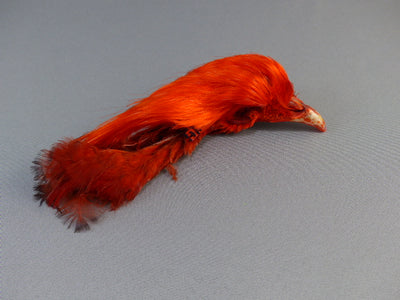 Crête de Faisant Doré Teint