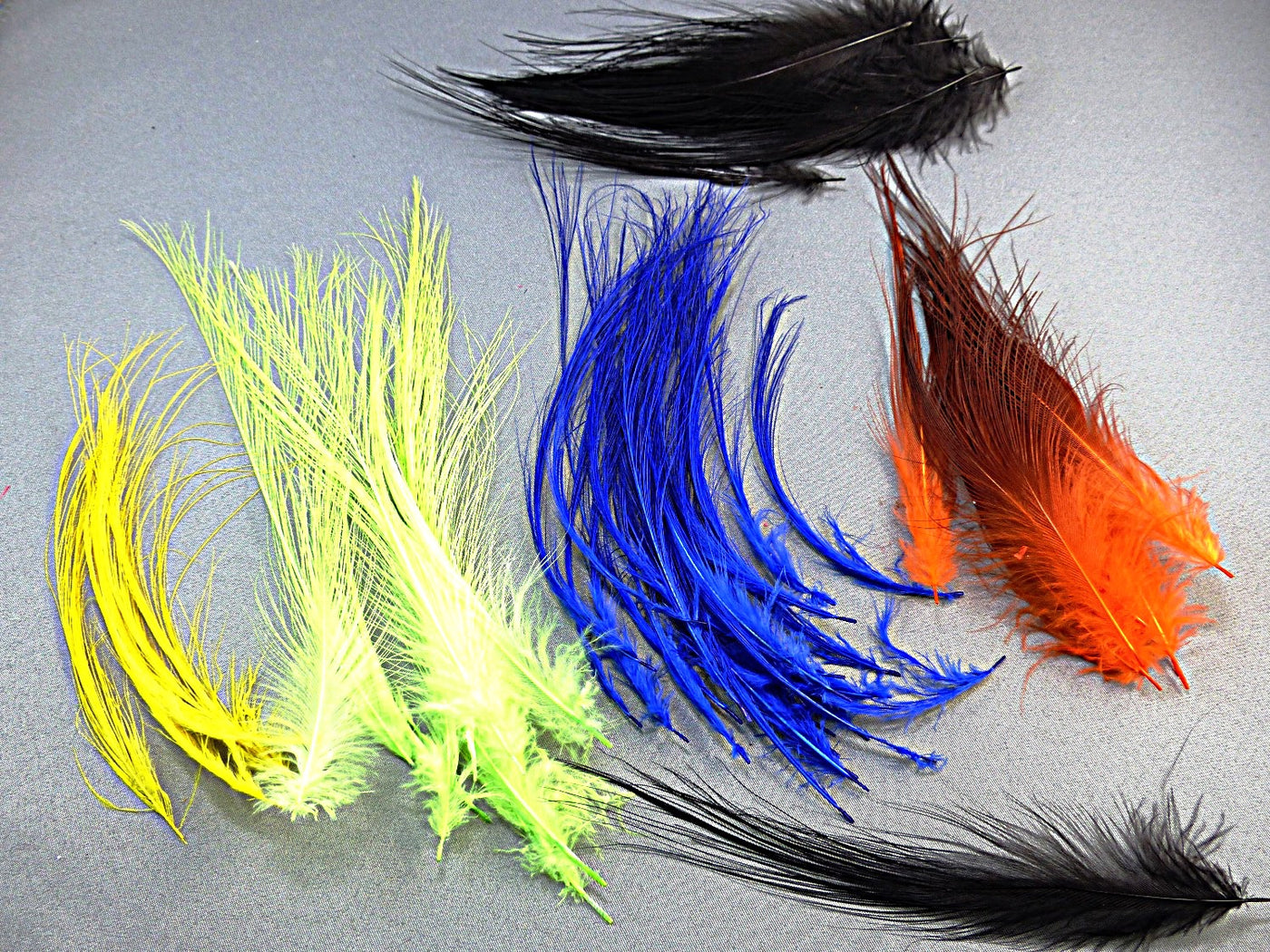 PLUMES DE HÉRON POUR MOUCHES SPEY PQT 20