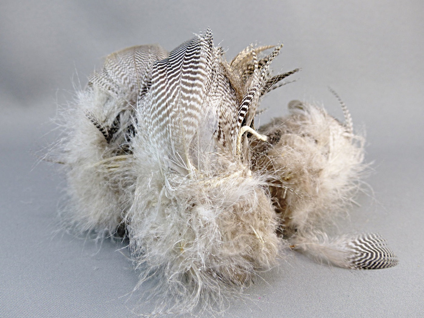 FLANC DE SARCELLE 50 GR