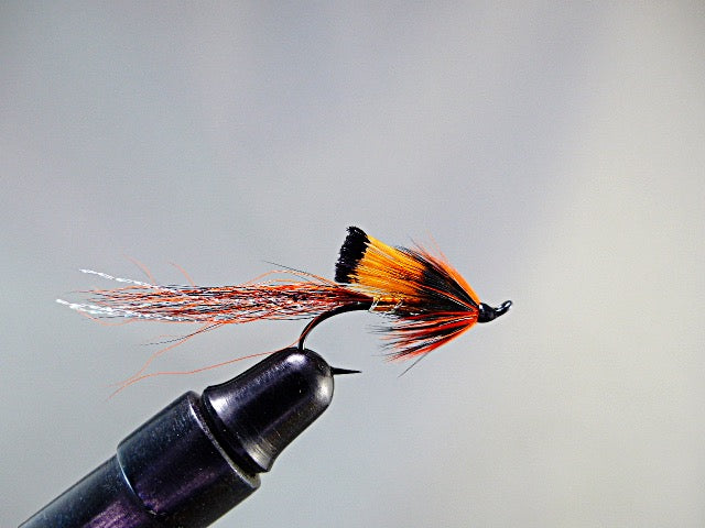 Ally's copper shrimp