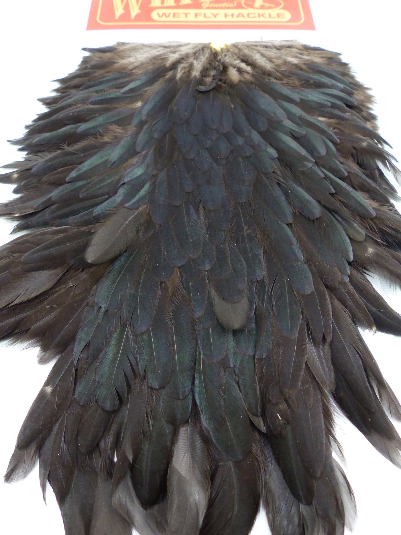 HACKEL DE SELLE DE POULE WHITING