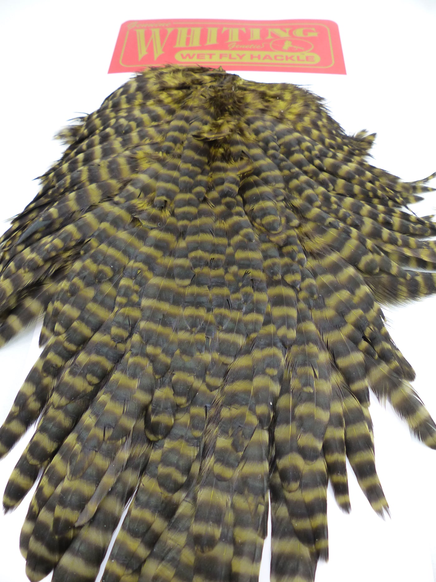 HACKEL DE SELLE DE POULE WHITING