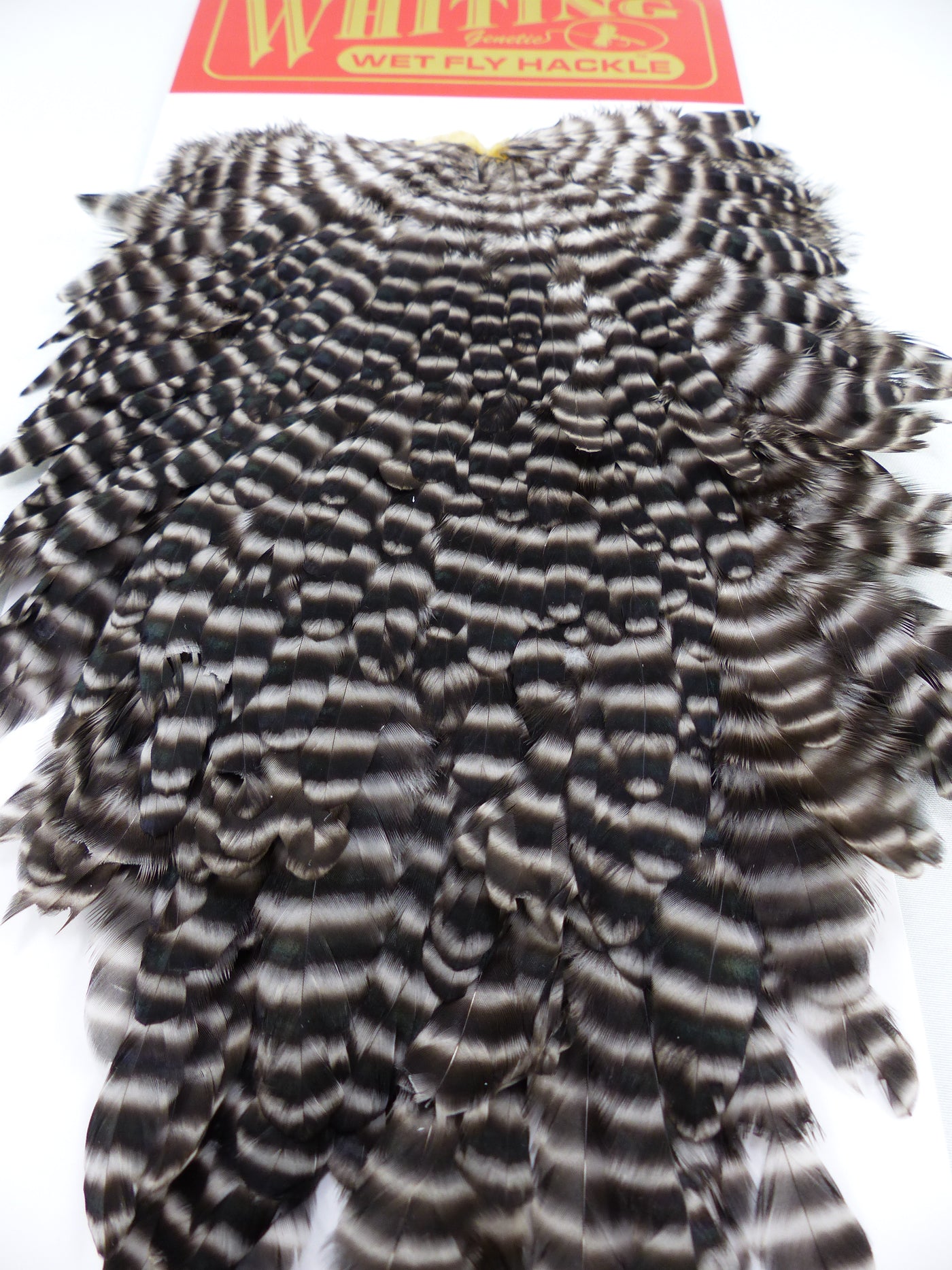 HACKEL DE SELLE DE POULE WHITING