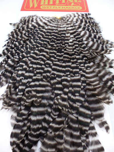 HACKEL DE SELLE DE POULE WHITING