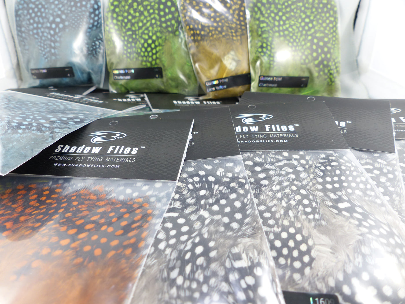 Poule de Guinée Shadow Flies premium