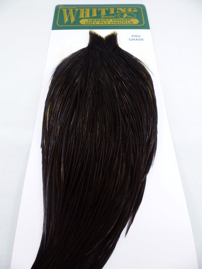 COU DE COQ HEBERT PRO WHITING