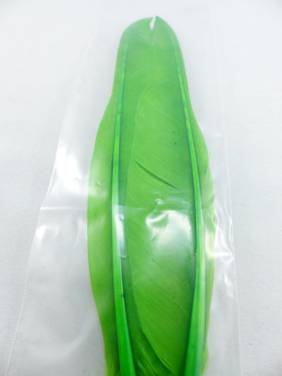 PLUMES D'OIE (PAIRE)