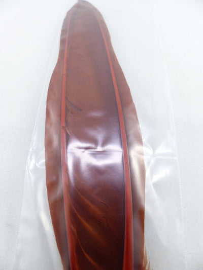 PLUMES D'OIE (PAIRE)