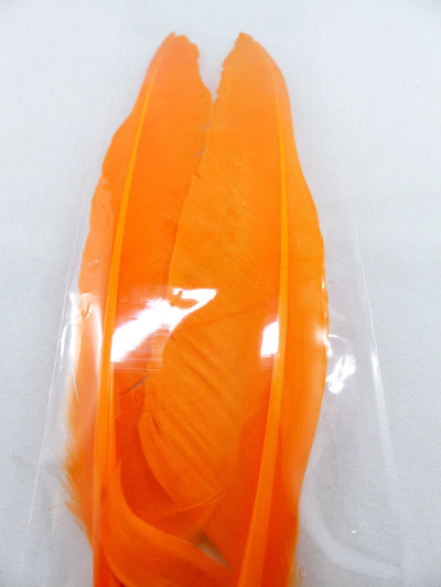 PLUMES D'OIE (PAIRE)