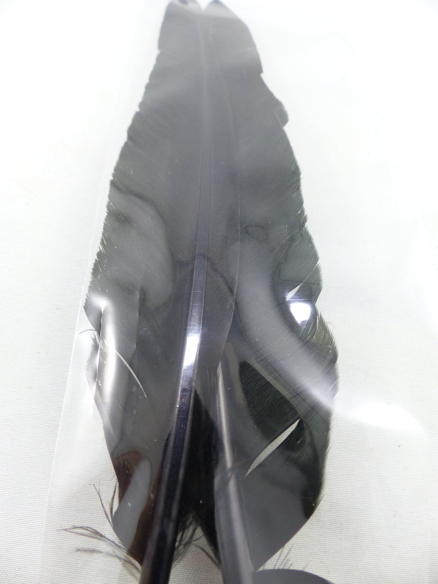 PLUMES D'OIE (PAIRE)