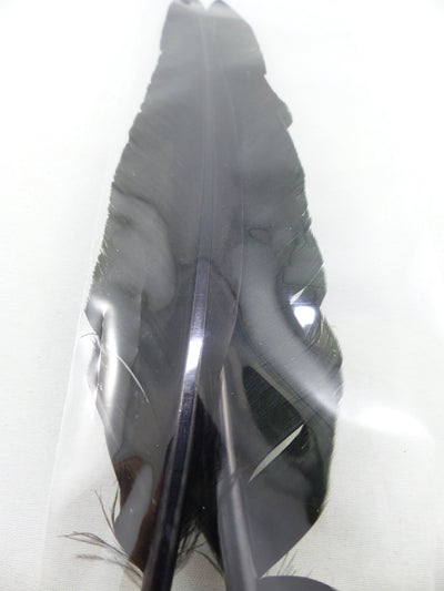 PLUMES D'OIE (PAIRE)