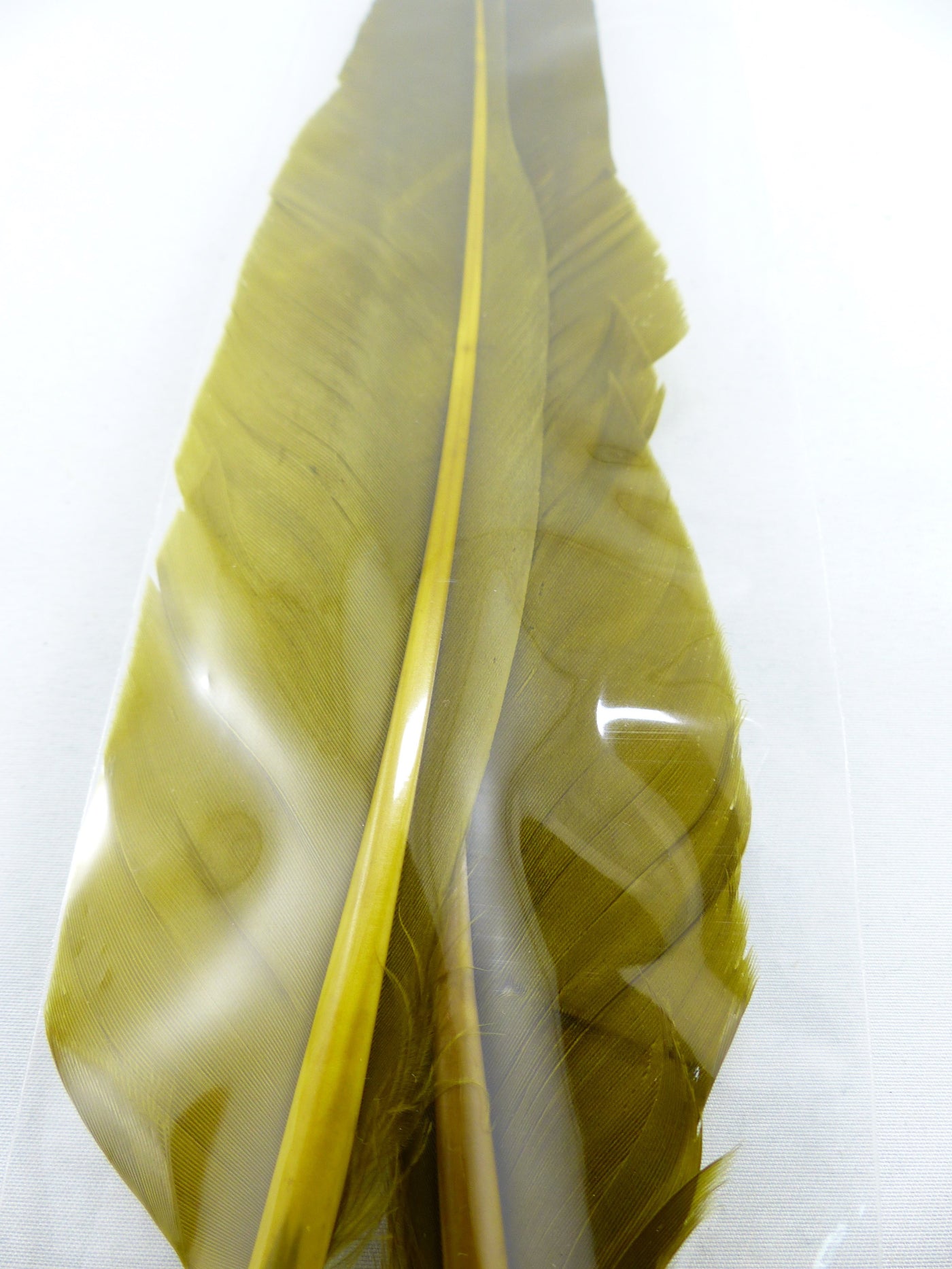 PLUMES D'OIE (PAIRE)