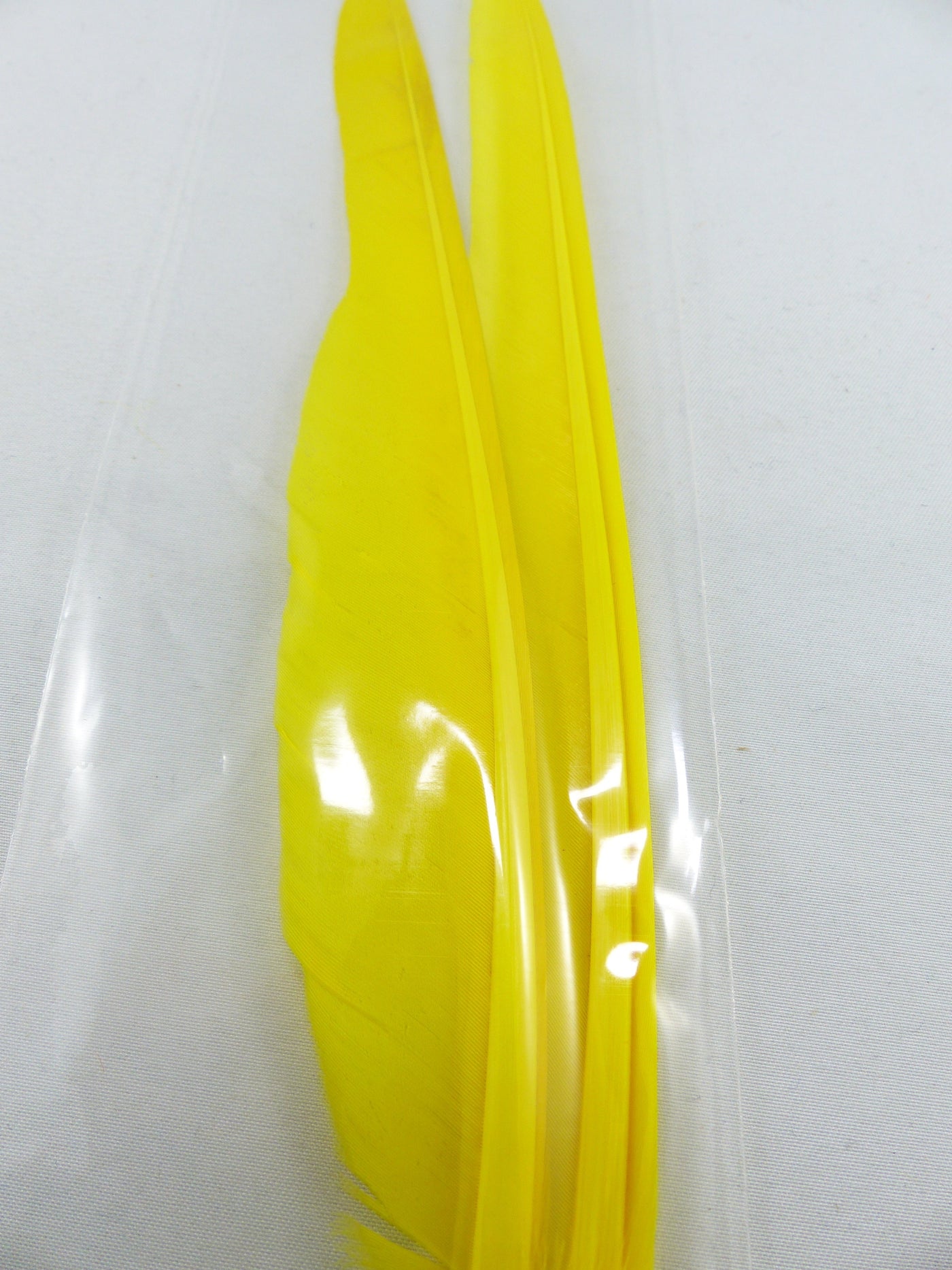 PLUMES D'OIE (PAIRE)