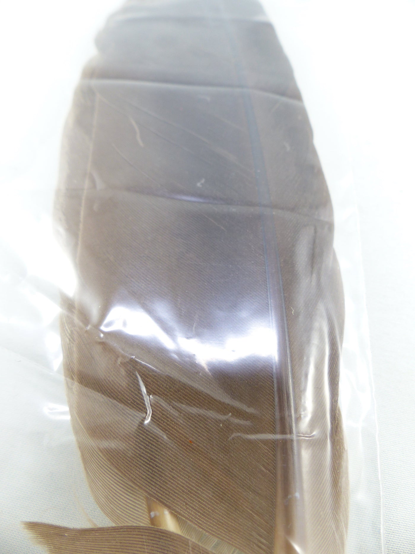 PLUMES D'OIE (PAIRE)