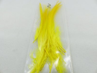 PLUMES DE HÉRON POUR MOUCHES SPEY PQT 20
