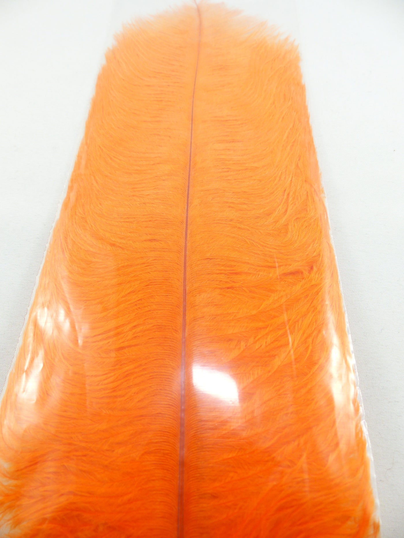 PLUMES D'AUTRUCHE PQT DE 2  11''ET13''