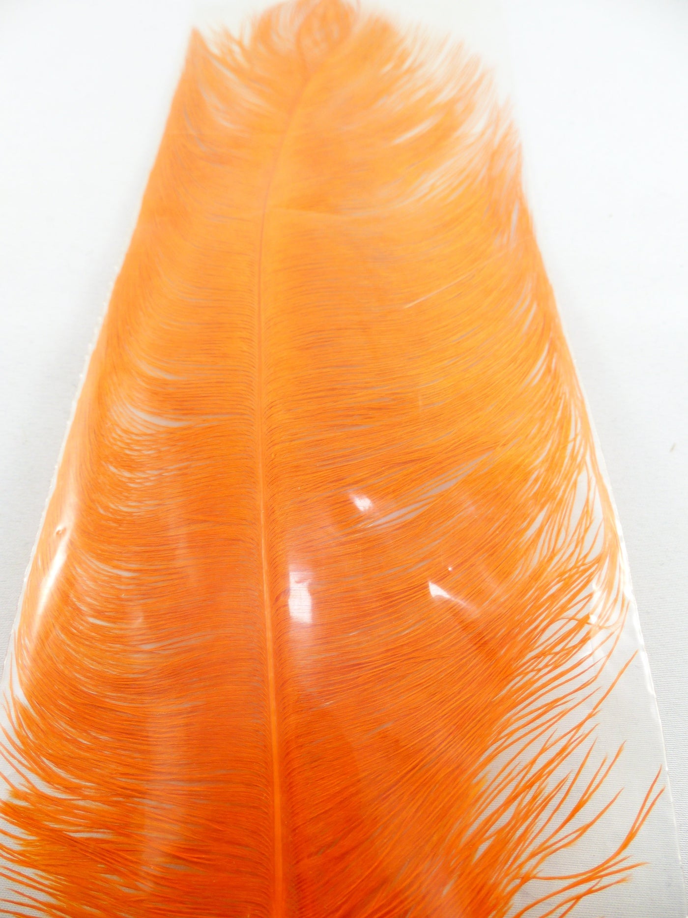 PLUMES D'AUTRUCHE PQT DE 2  11''ET13''