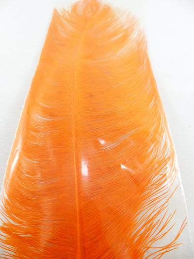 PLUMES D'AUTRUCHE PQT DE 2  11''ET13''