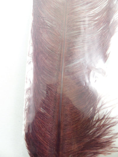 PLUMES D'AUTRUCHE PQT DE 2  11''ET13''