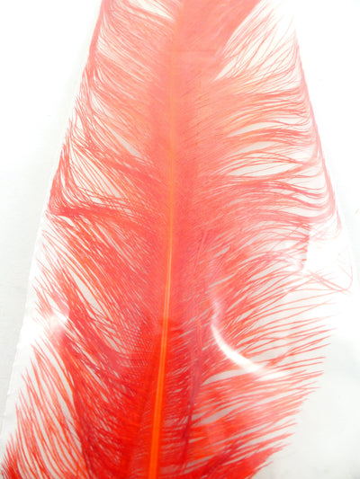 PLUMES D'AUTRUCHE PQT DE 2  11''ET13''