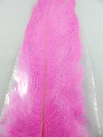 PLUMES D'AUTRUCHE PQT DE 2  11''ET13''