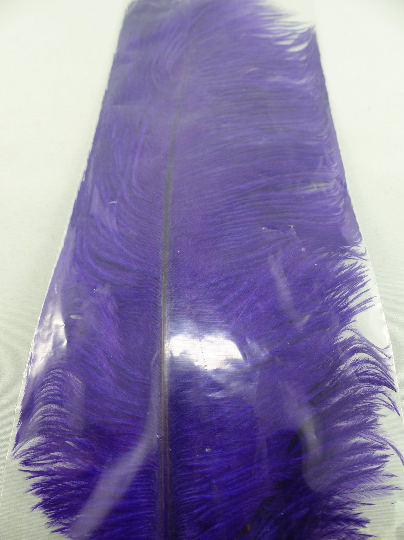 PLUMES D'AUTRUCHE PQT DE 2  11''ET13''