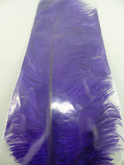 PLUMES D'AUTRUCHE PQT DE 2  11''ET13''