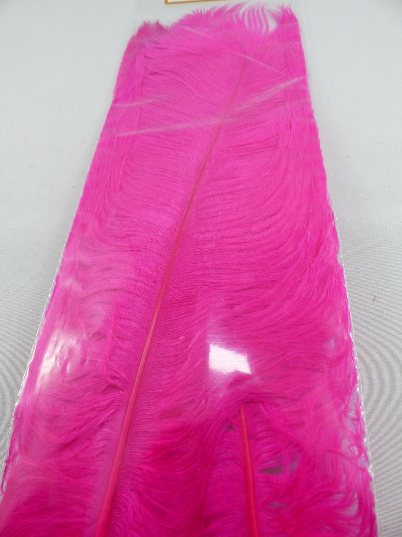 PLUMES D'AUTRUCHE PQT DE 2  11''ET13''