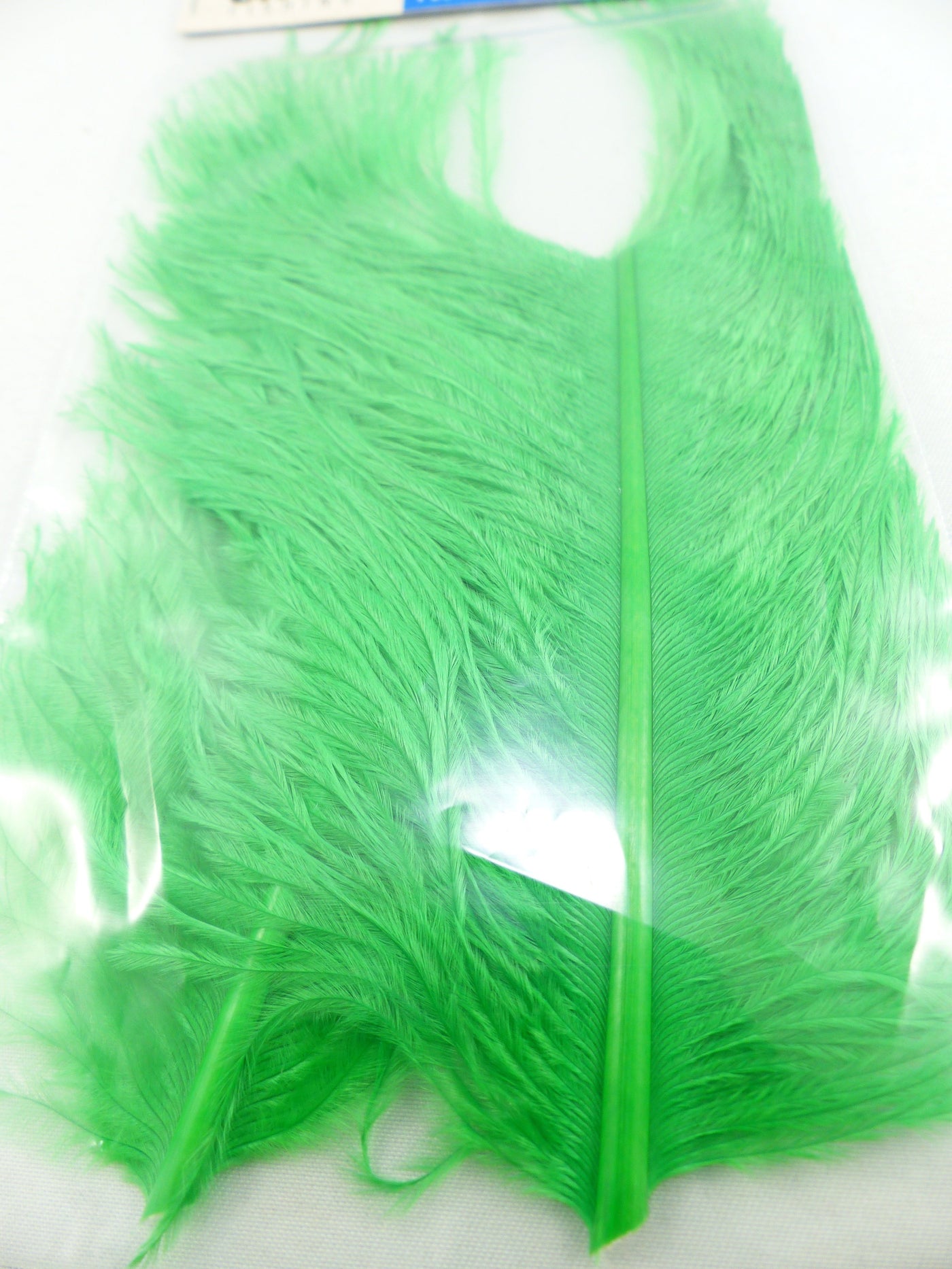 FIBRES D'AUTRUCHE SHOR