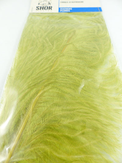 FIBRES D'AUTRUCHE SHOR