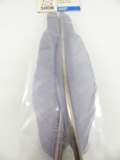 PLUMES D'OIE (PAIRE)