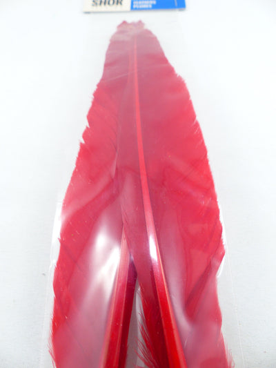 PLUMES D'OIE (PAIRE)