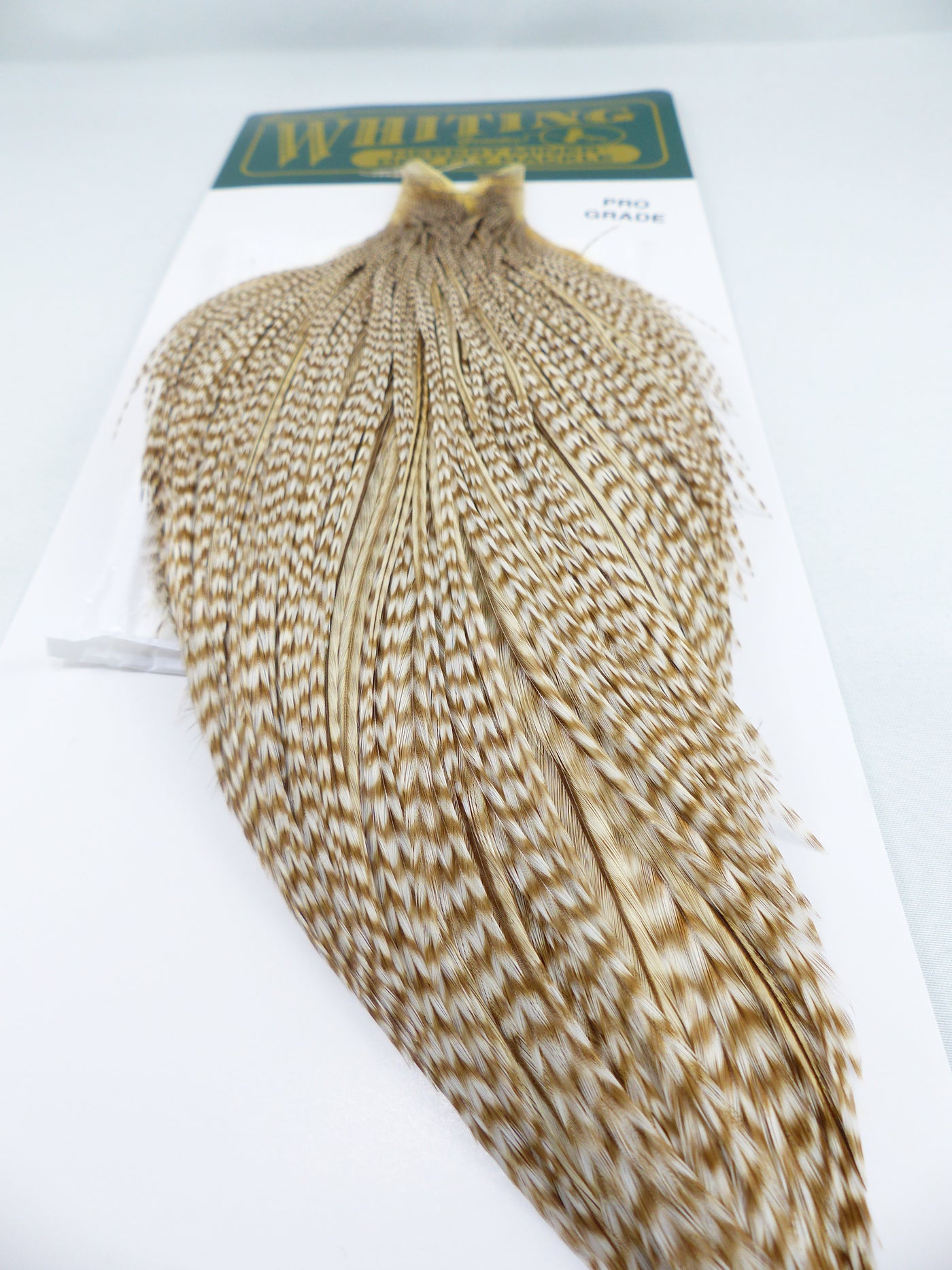 COU DE COQ HEBERT PRO WHITING