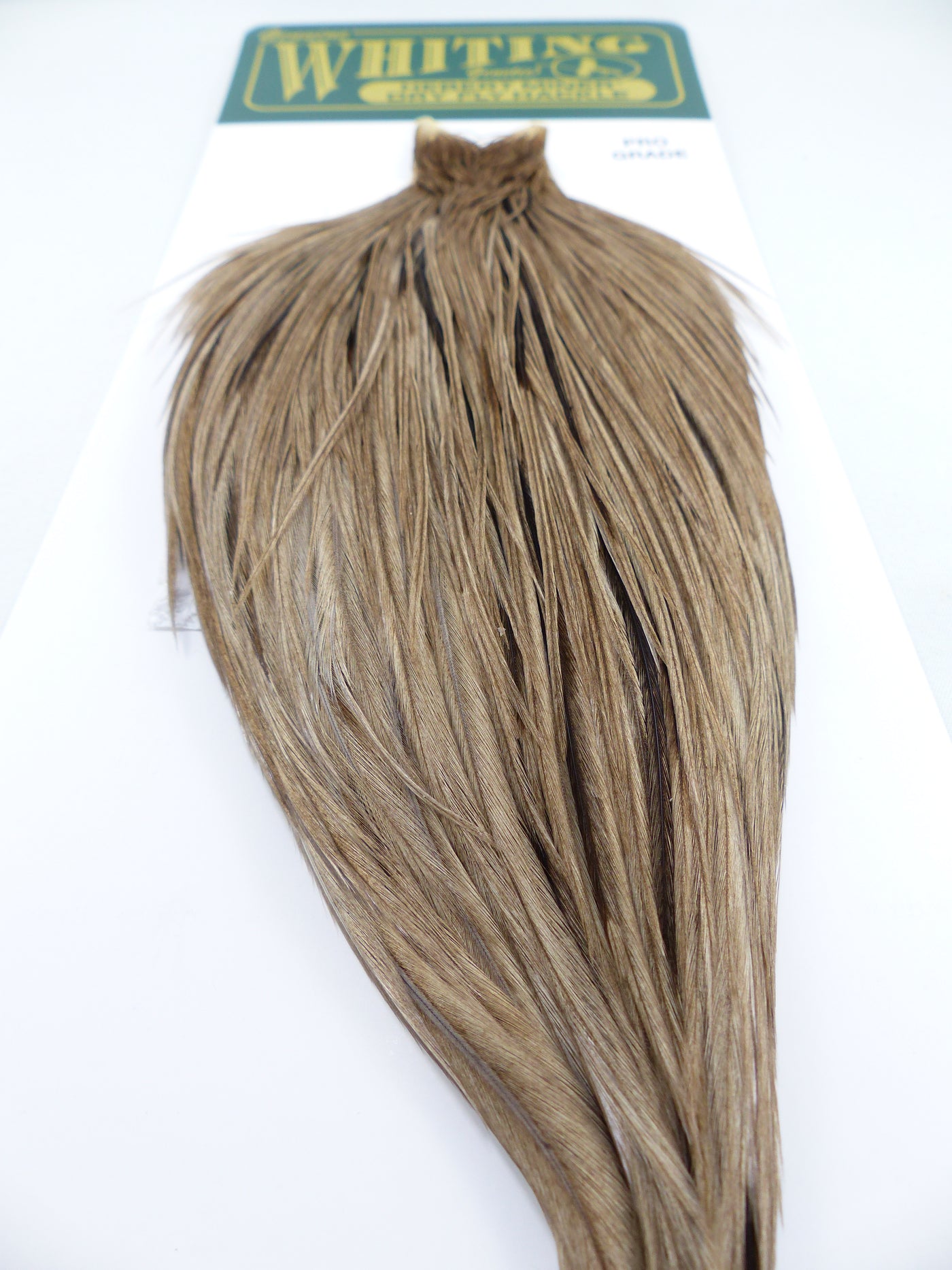 COU DE COQ HEBERT PRO WHITING