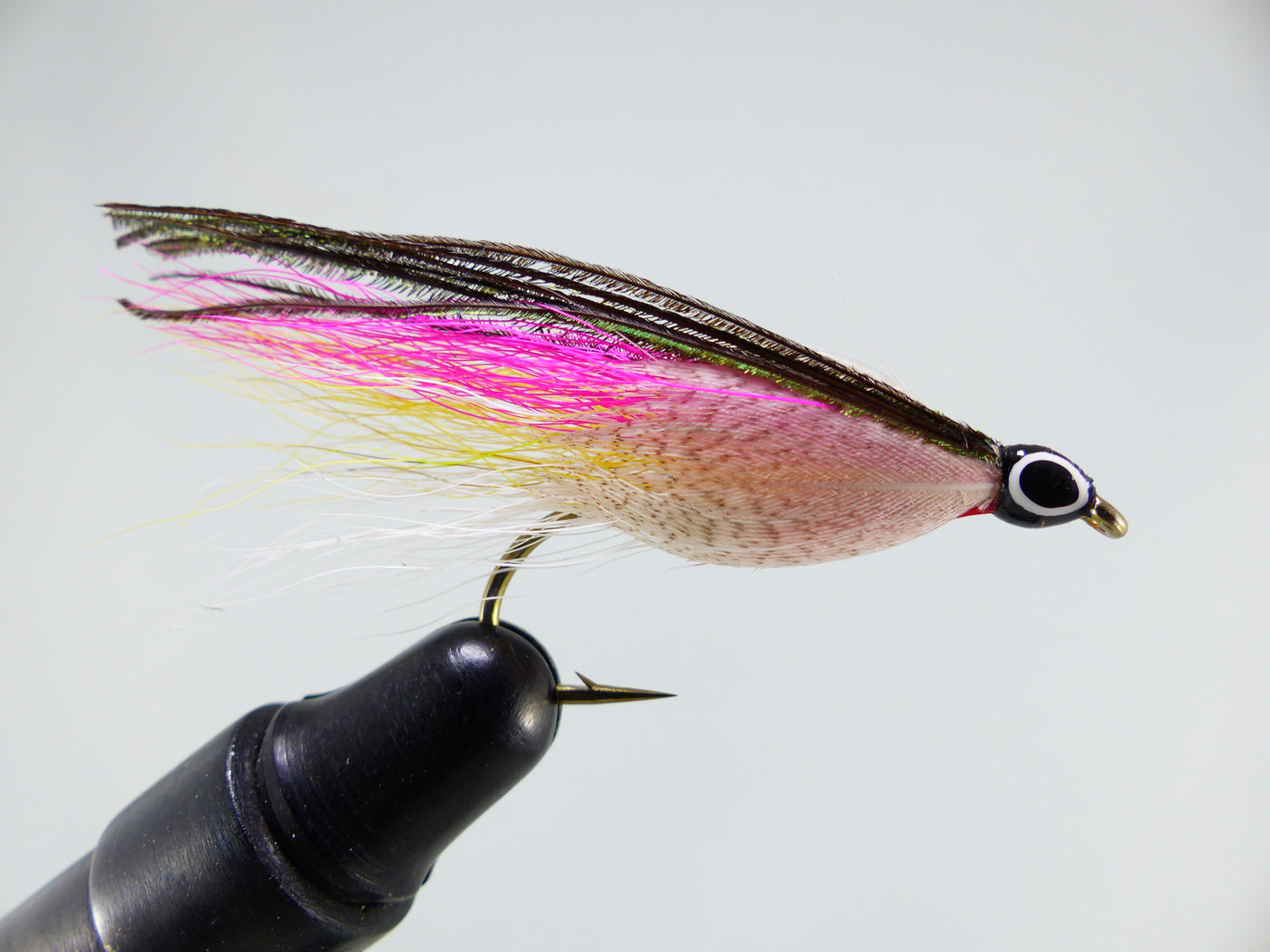 Rainbow Smelt