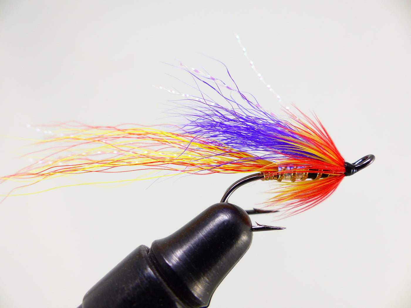 Ally's Shrimp purple