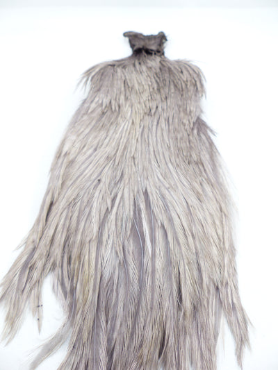 COU DE COQ GENETIC SHOR #1