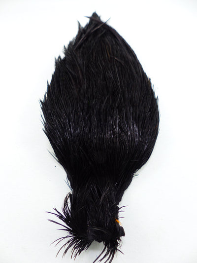 COU DE COQ GENETIC SHOR #1