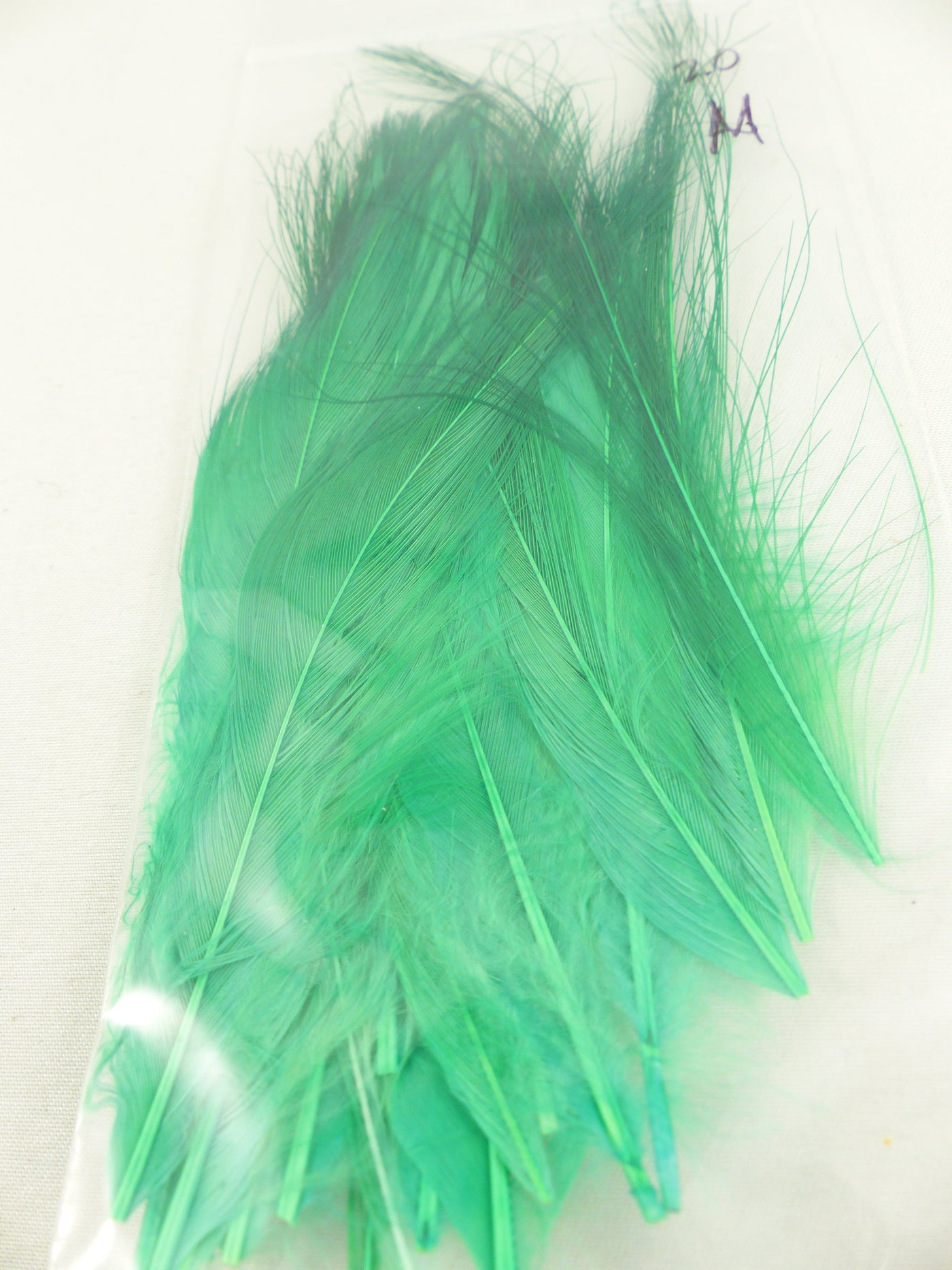 PLUMES DE HÉRON POUR MOUCHES SPEY PQT 20