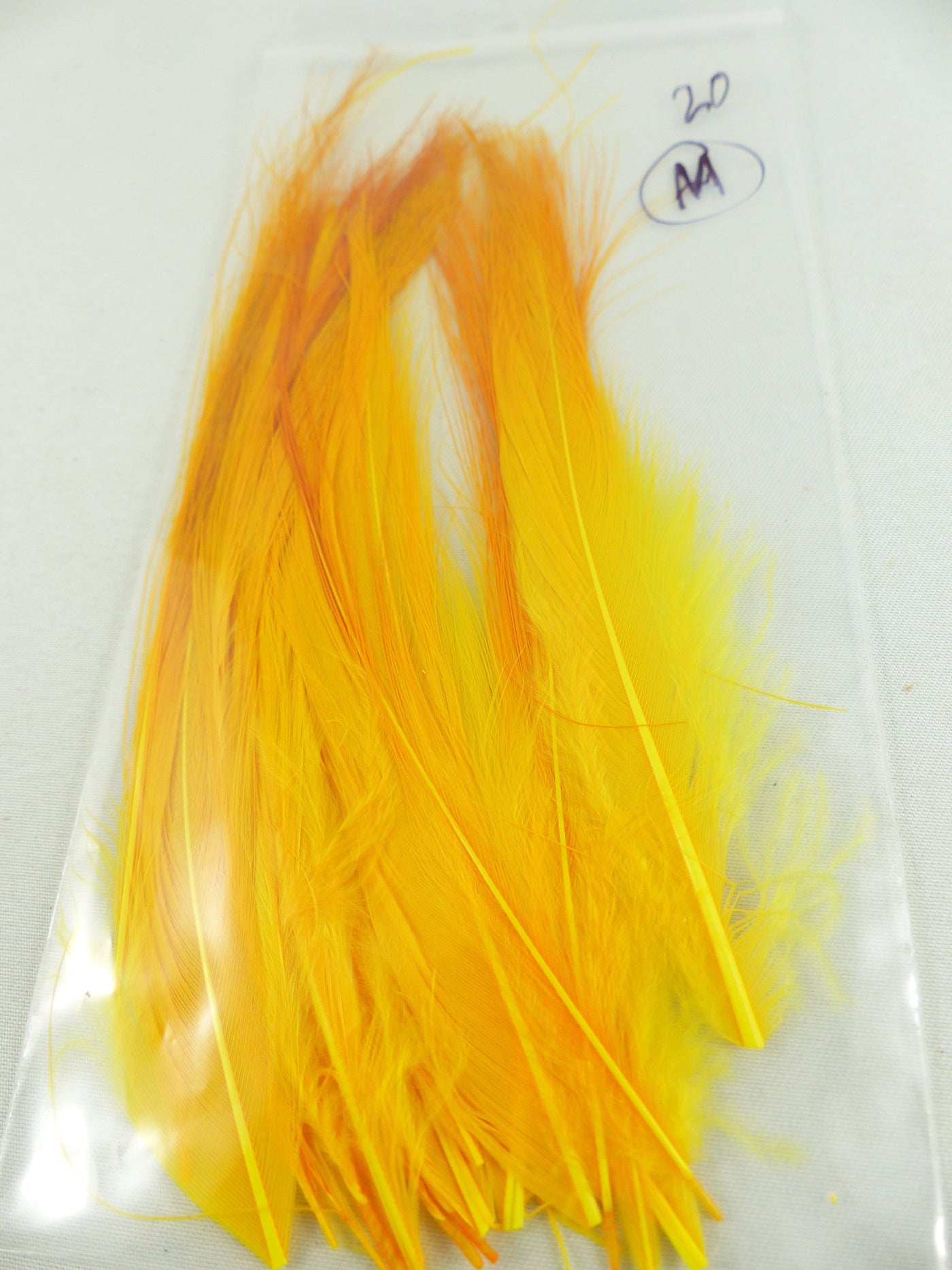 PLUMES DE HÉRON POUR MOUCHES SPEY PQT 20