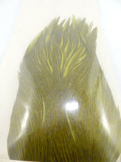 COU DE COQ GENETIC SHOR #1